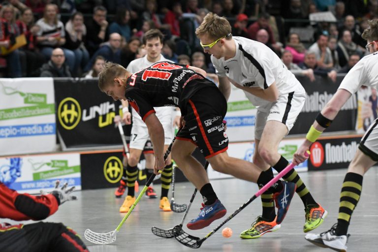 Mitgliedszahlen 2019