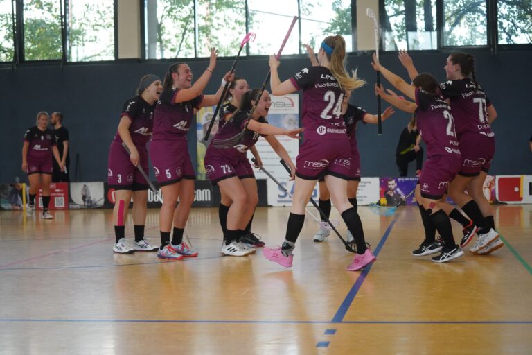 Heimsieg gegen Erlensee