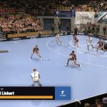 Informationen zu Strafen. Foto: Floorball-facts.de