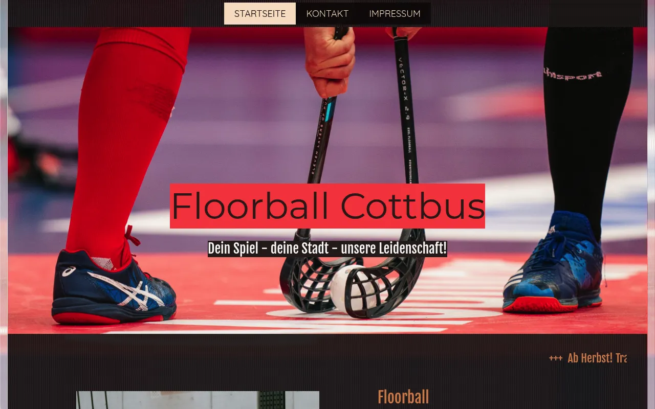 Startseite der Website von ESV Lok Raw Cottbus e. V. (Screenshot vom 22.10.2026)